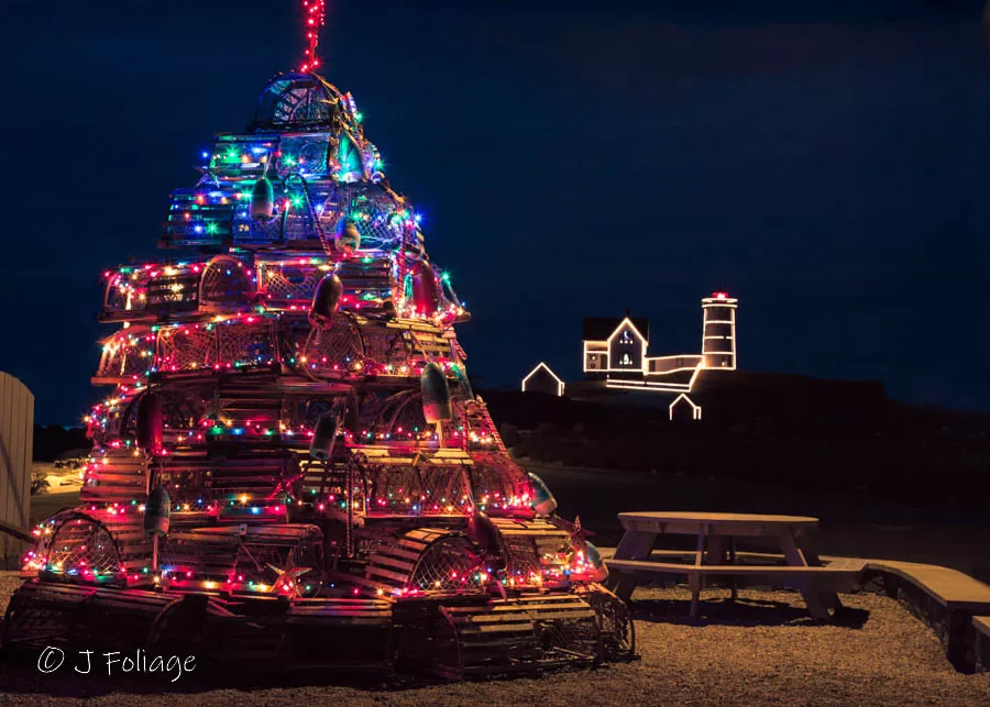 lobster trap tree at Nubble lighthouse