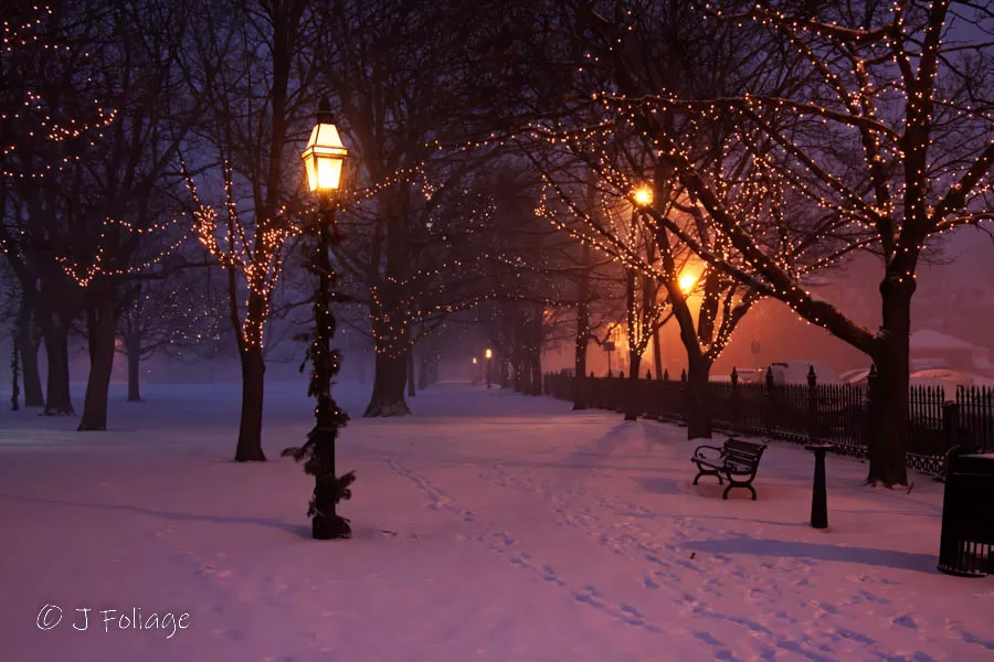 Salem Town Common at Christmas