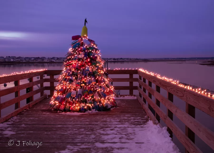 a lobster buoy tree at Christmas in Wells Maine