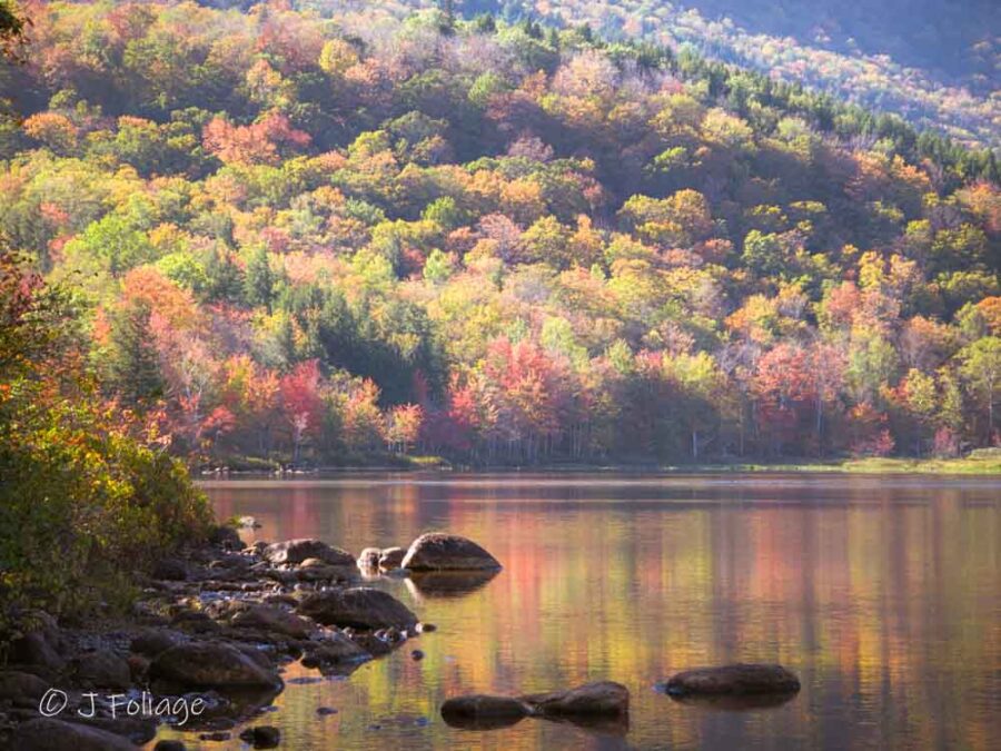 Early fall color at the Basin