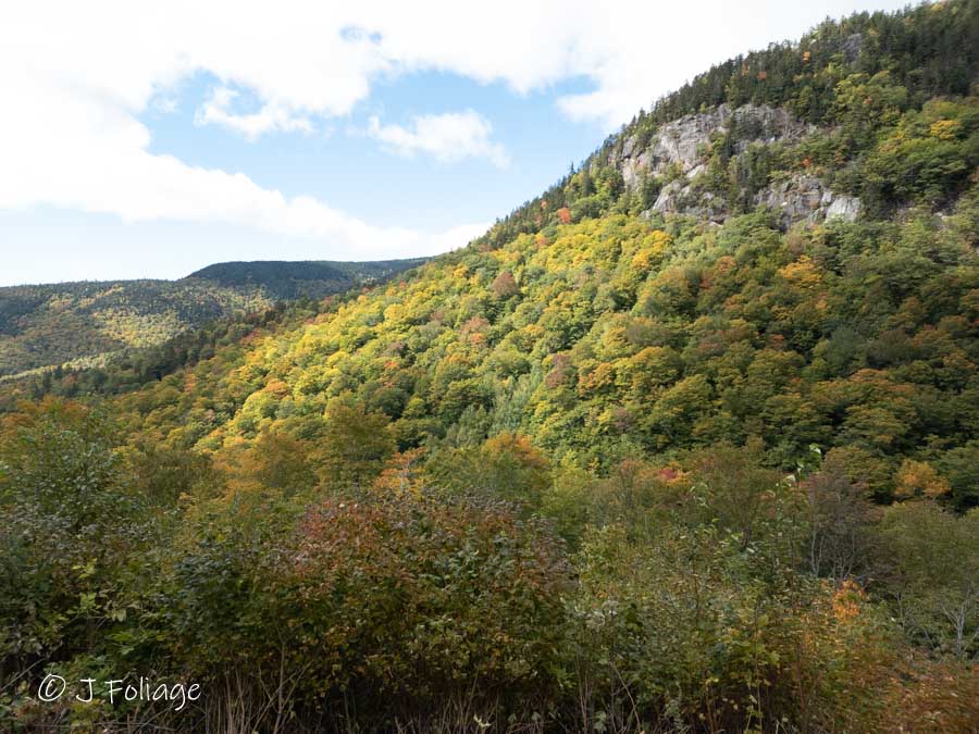 The sun brightens the early fall colors in Evans Notch on 29 Sept 2022