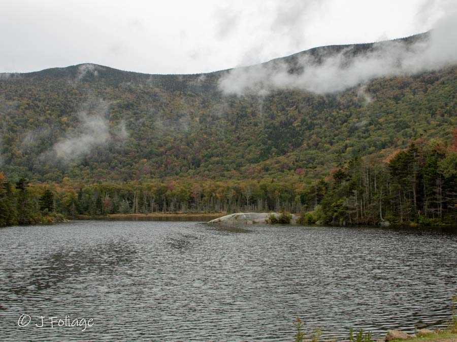 beaver pond on 28 Sept 2018 with things pretty green
