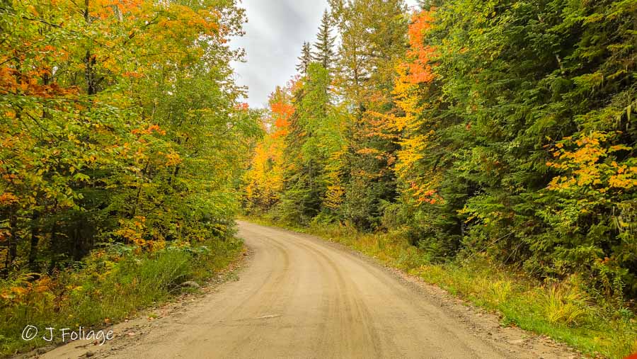 Logging road near Eustis Maine, a rough road in early fall colors