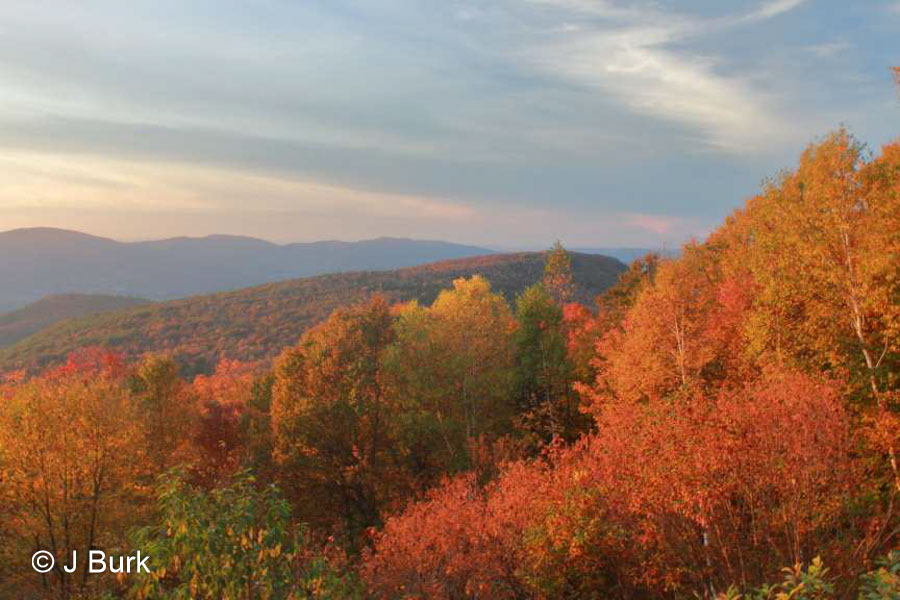 John Burk Photography submitted this image of Mount Greylock on 6 October, Visit his gallery.