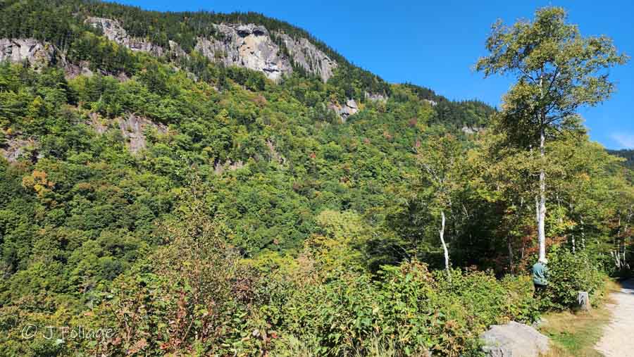 Looking up Evan's Notch 19 Sept with no color in the birch trees