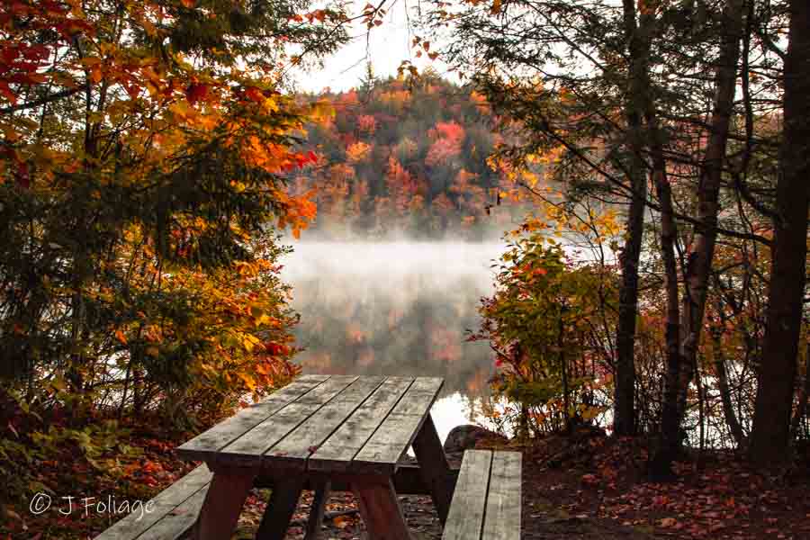 Picnic table with a view of Mirror Lake Colors in Thornton New Hampshire