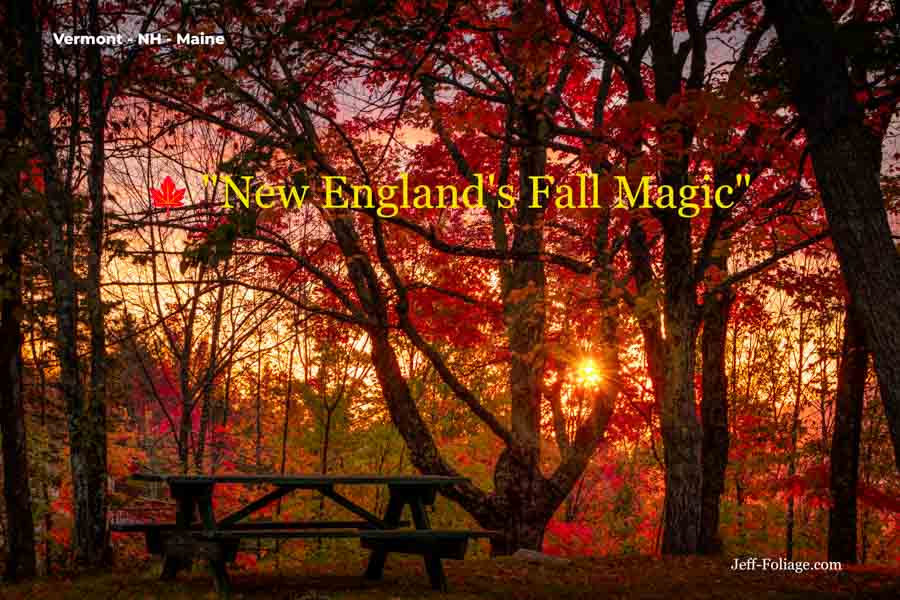 Dawns fall colors in Eustis Maine