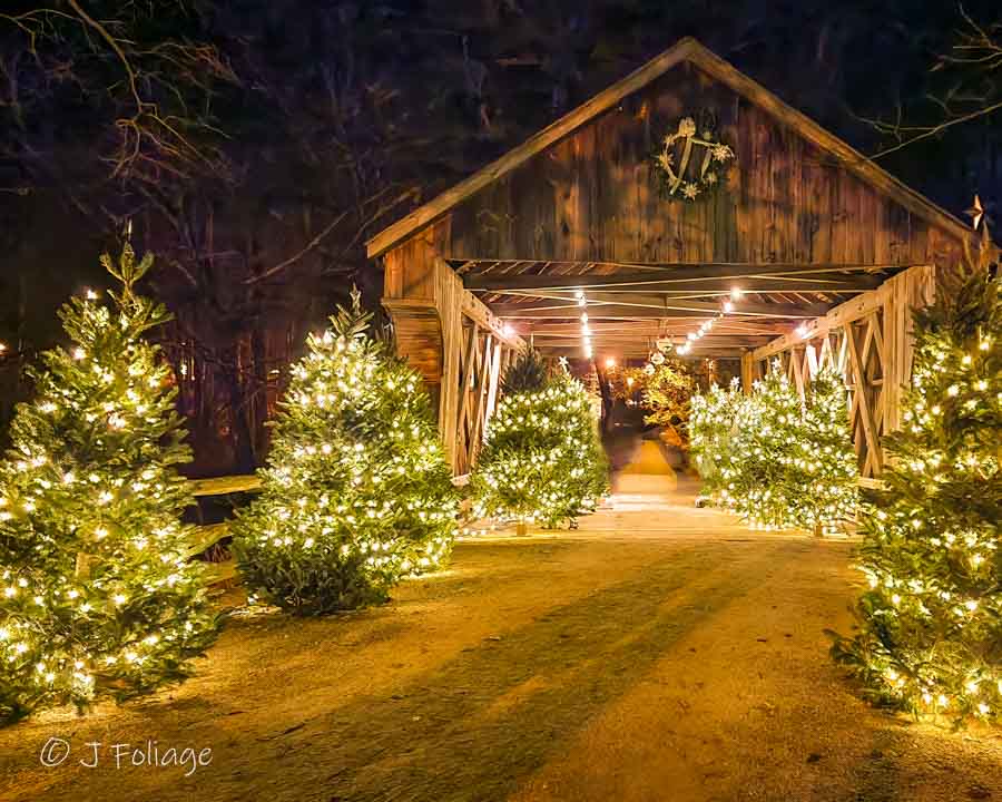 winter covered bridge photography