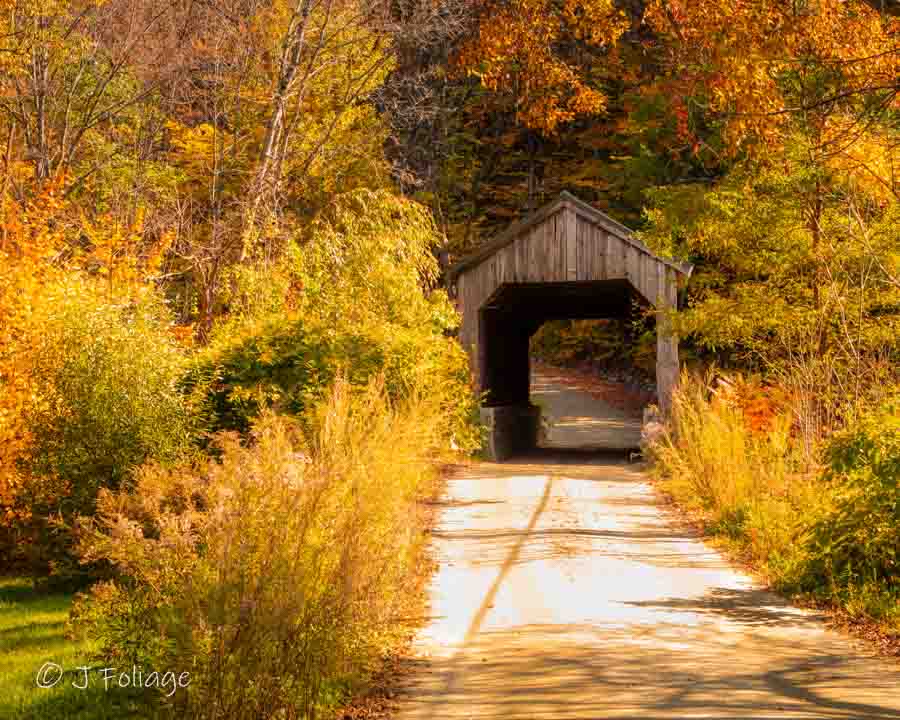 autumn covered bridge photography