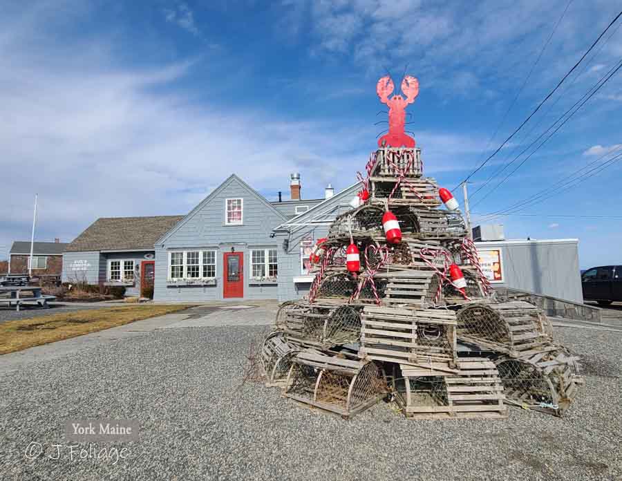 Maine coast photography calendar