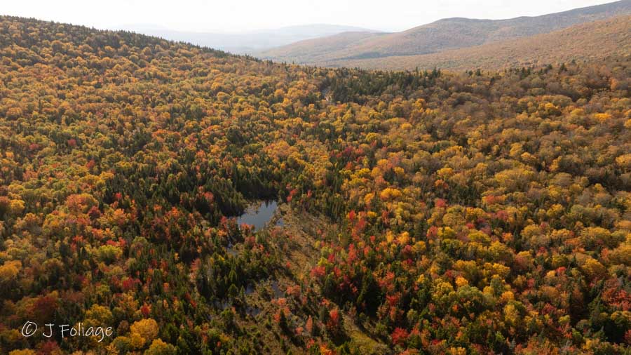 Taken by Drone at Route 118