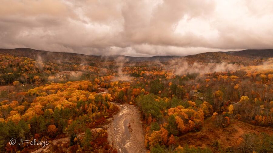 Fog and Flame: Baker River in Fall surrounded by late autumn oaks