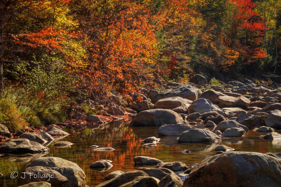 tight view of the wild river next to Route 113