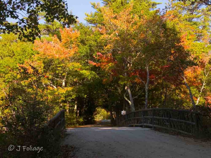 Early fall color at Lake Chocorua
