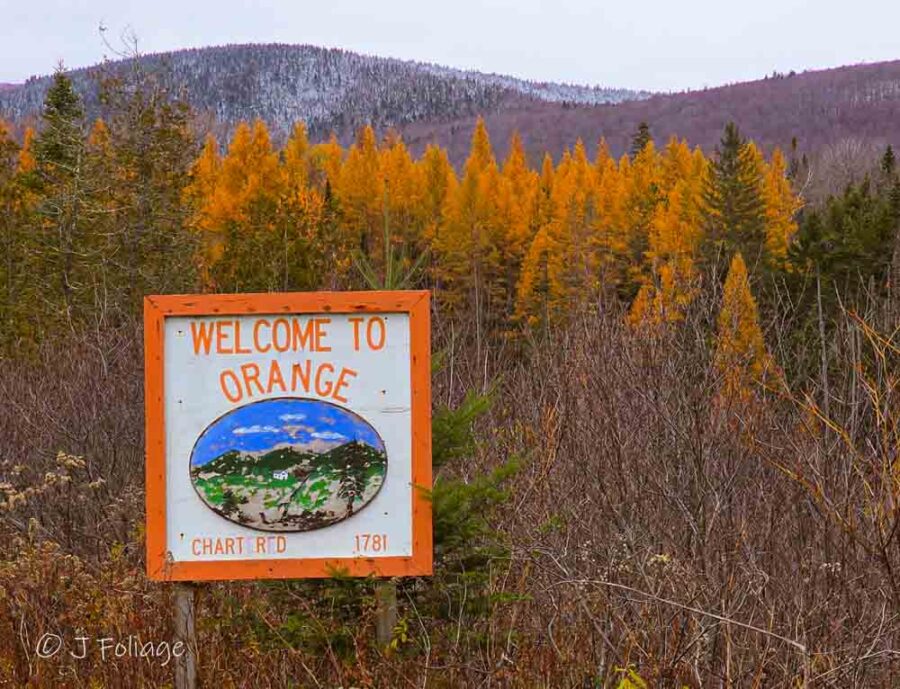 Tamarack in Orange VT
