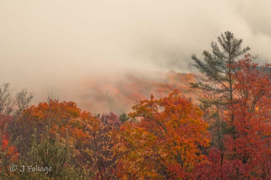 Warren New Hampshire