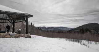 Winter reveals what foliage hides