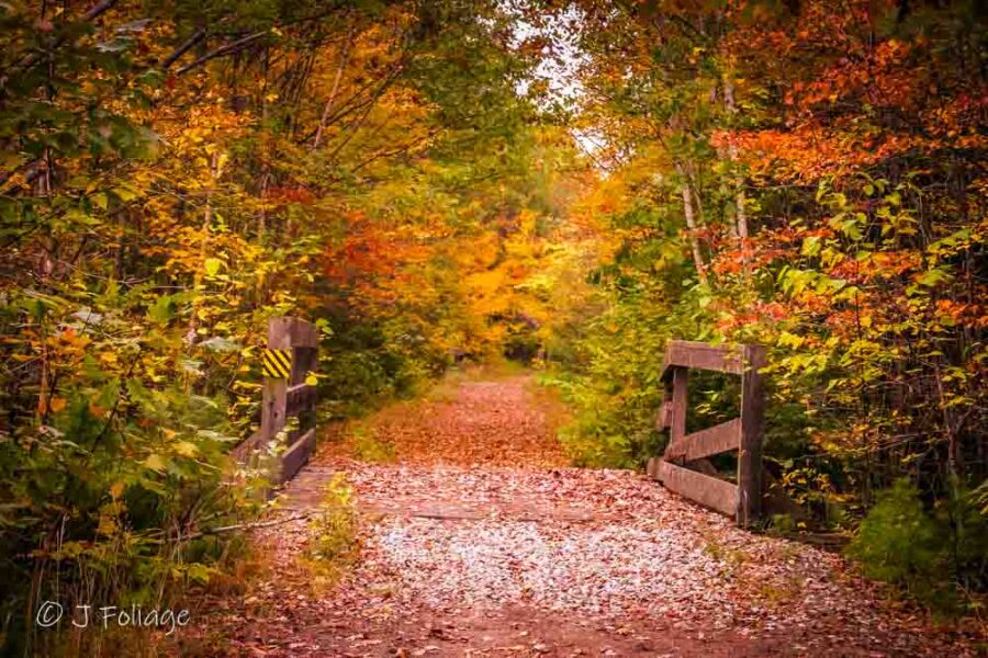 A wooden pedestrian bridge on the Northern Shaker Rail Trail in Enfield, NH, framed by vibrant yellow and orange fall foliage.
