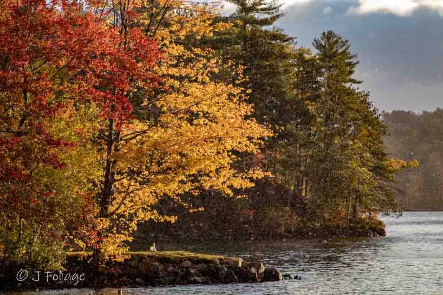 Snowliage on Squam Lake New Hampshire by Jeff Foliage - Autumn colors and early snow reflection