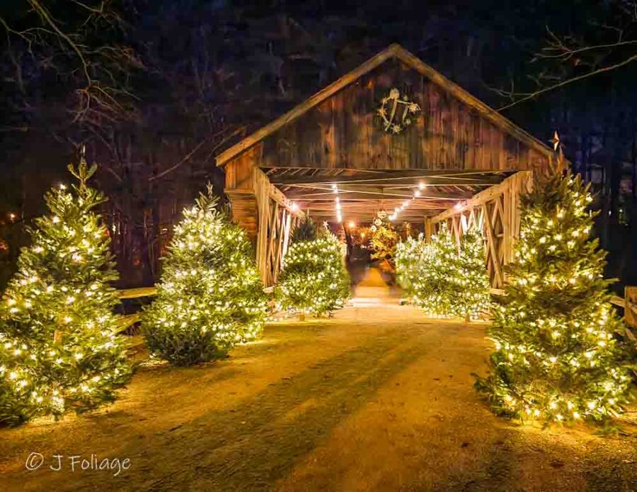 Taft Covered Bridge Sturbridge after dark with all the Christmas trees all lit up for the holiday season